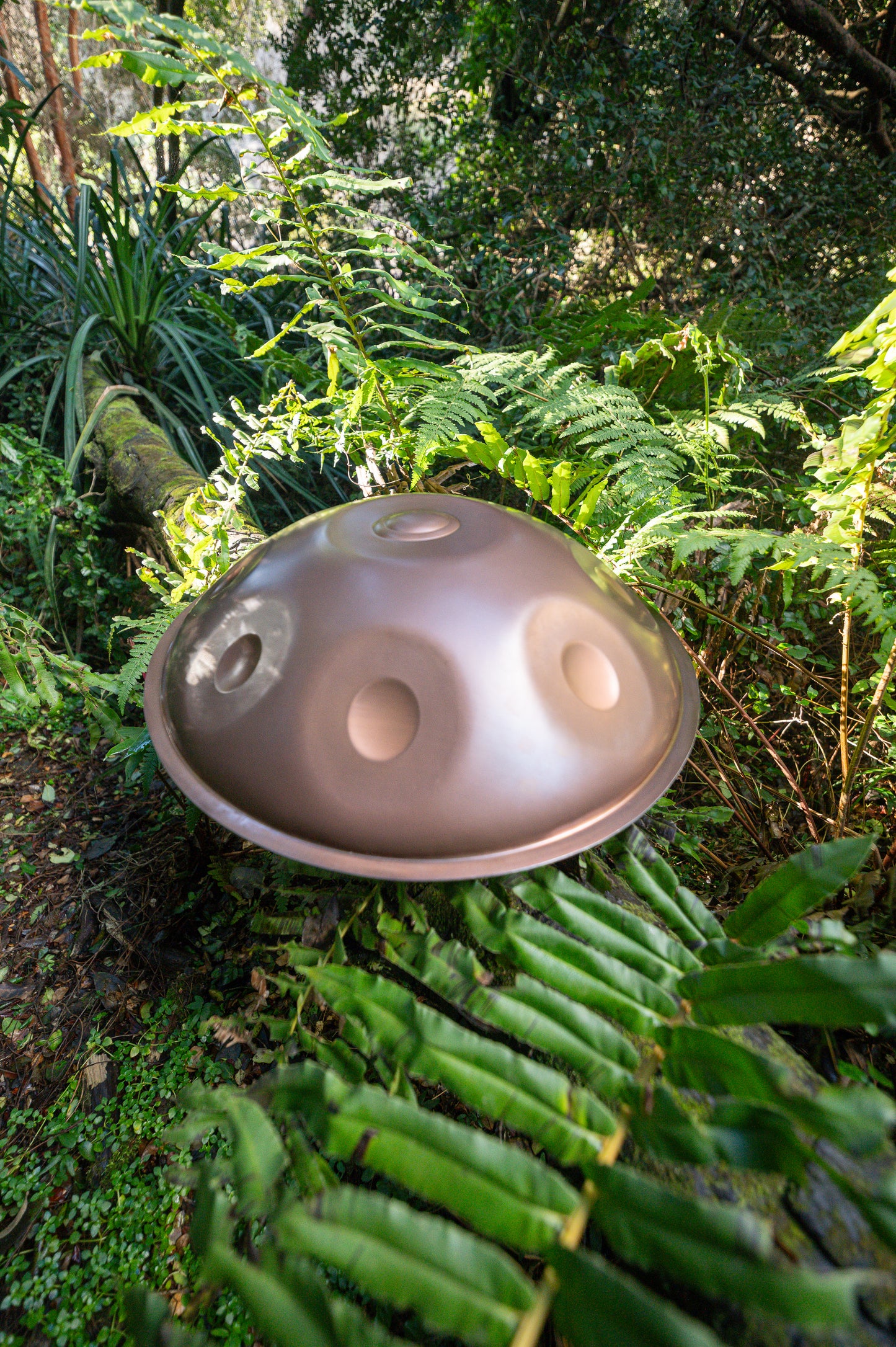 Handpan D Kurd 10 Ember Steel
